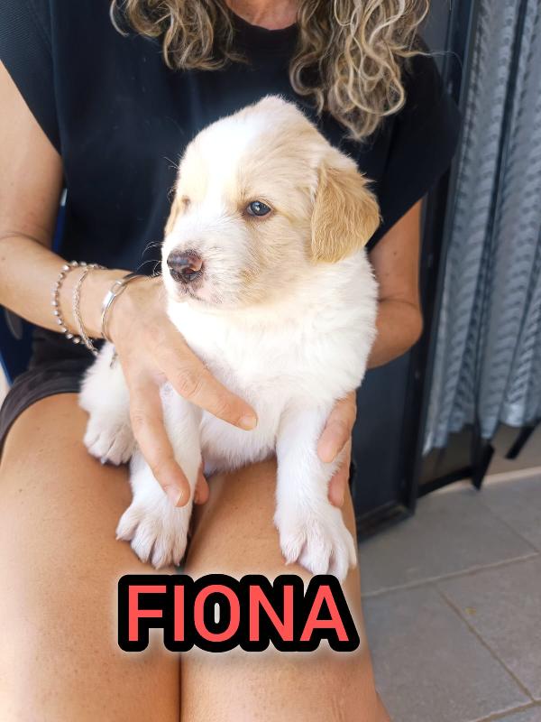 Fiona Cucciolina Da Spuppazzare